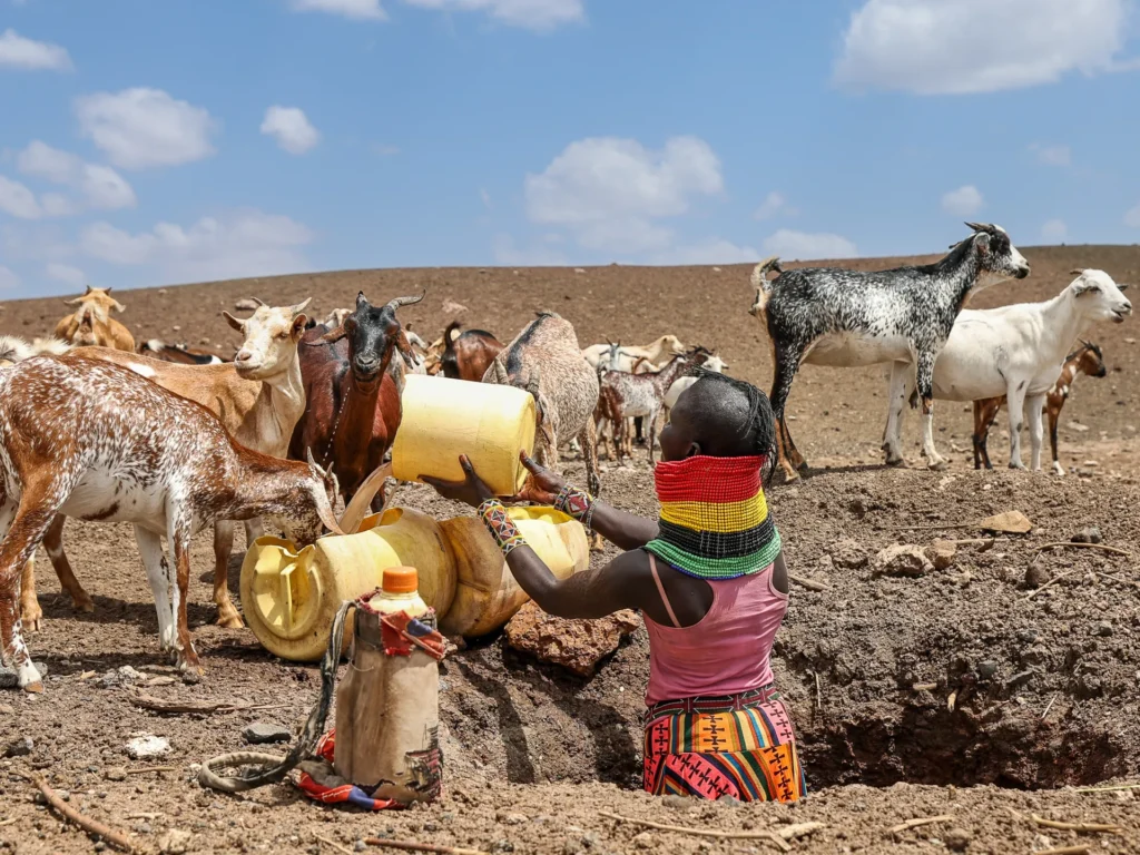 Kenya’s Drought Deepens, Aid Cuts Leave Families Struggling for Survival. Drought